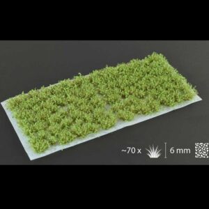 Buesche Dark Green Shrubs