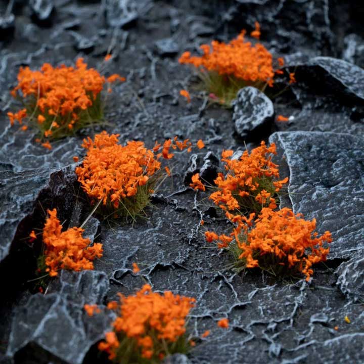 Blumen Orange - Image 2