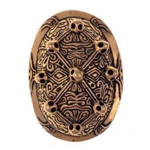 Schildkroten Fibel Klein