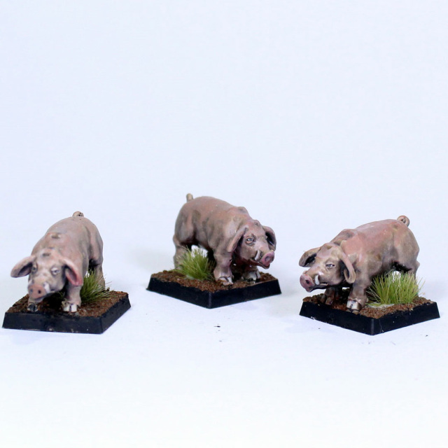 Schweine 3Figuren
